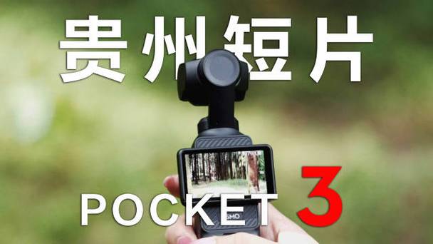 手机正着拍照出来是横的缩略图