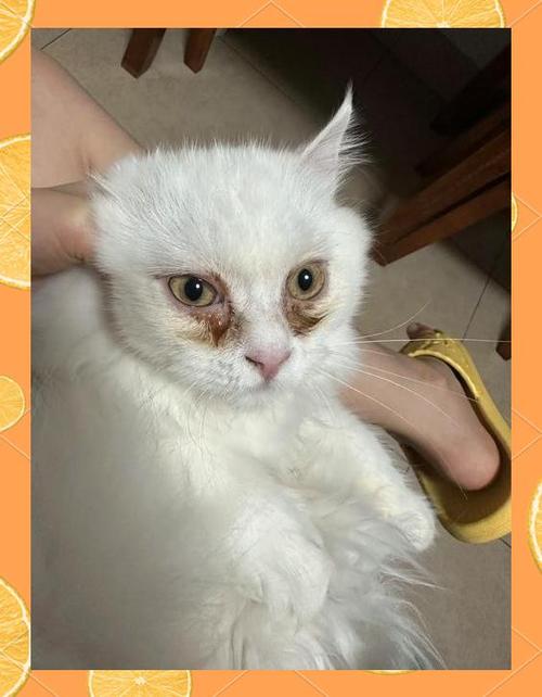 流眼泪怎么治疗