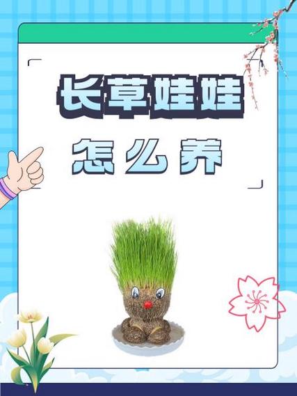体木养什么娃娃图标