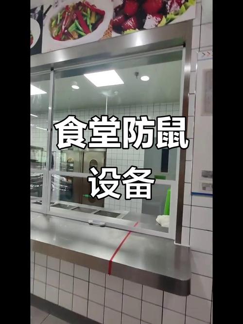 食堂有老鼠怎么处理