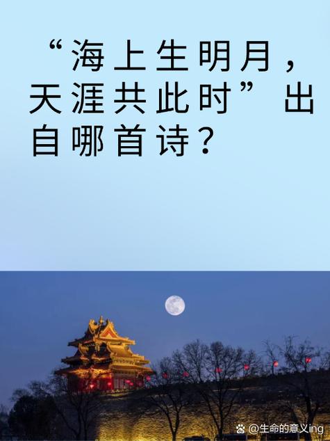 孤独的千古佳句缩略图