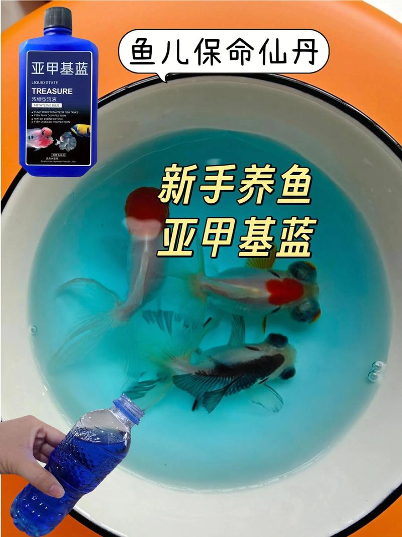 亚甲基蓝对鱼的正确用法