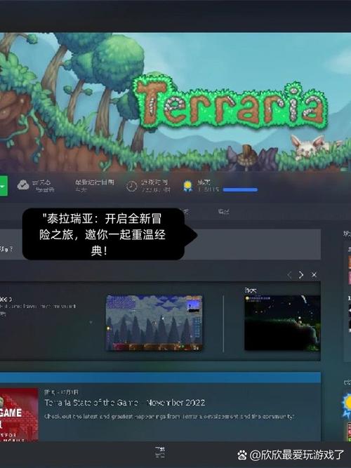 泰拉瑞亚如何联机电脑版
