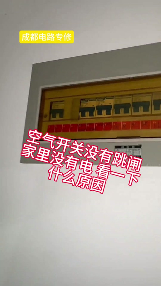 家里没电了但是没跳闸