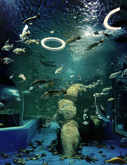 深海水族馆美杜莎步行鱼怎么获得
