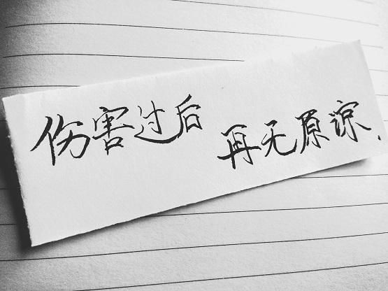 我太笨 明知道你是错的人
