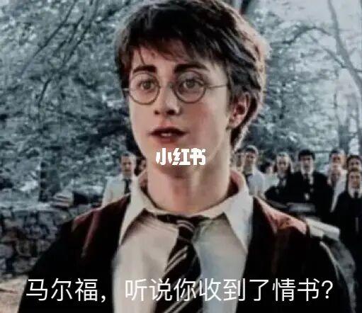 哈利波特2:消失的密室评价缩略图