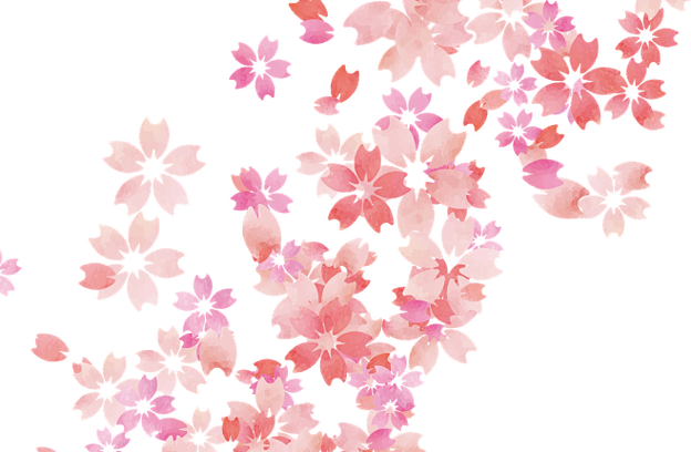 樱花社区邀请缩略图