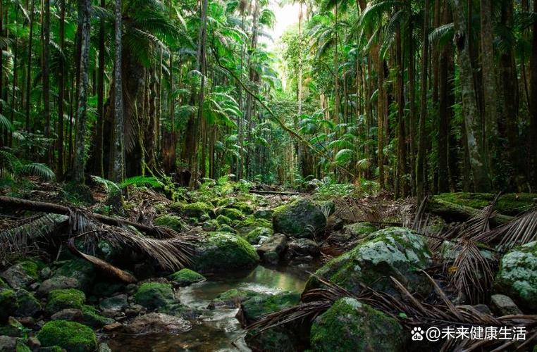 我的世界怎么找雨林地形缩略图