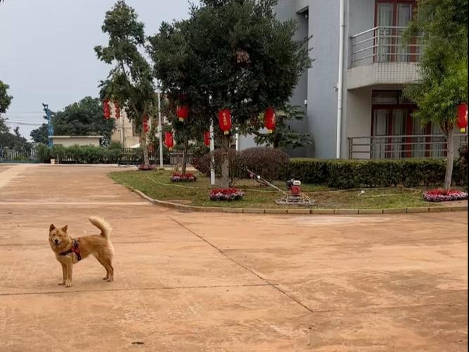 东方红农场缩略图