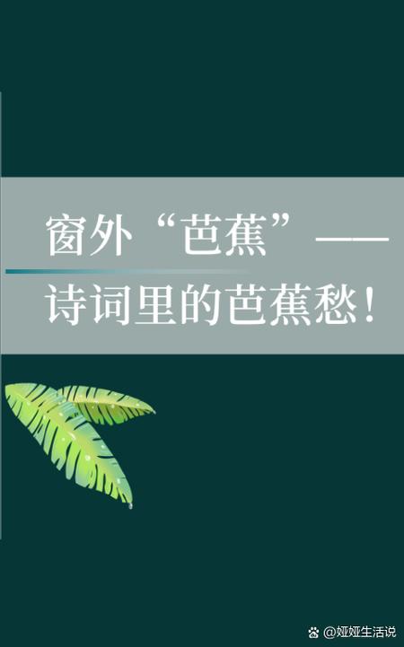 窗外一本芭蕉阅读答案缩略图