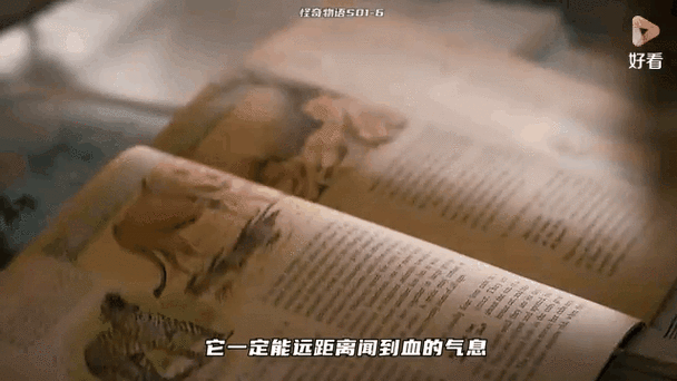 带悬浮窗的股票app图标
