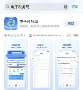 青岛市电子税务局app下载游戏截图