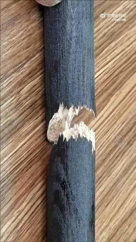 折断一根棍子和折断一捆棍子缩略图