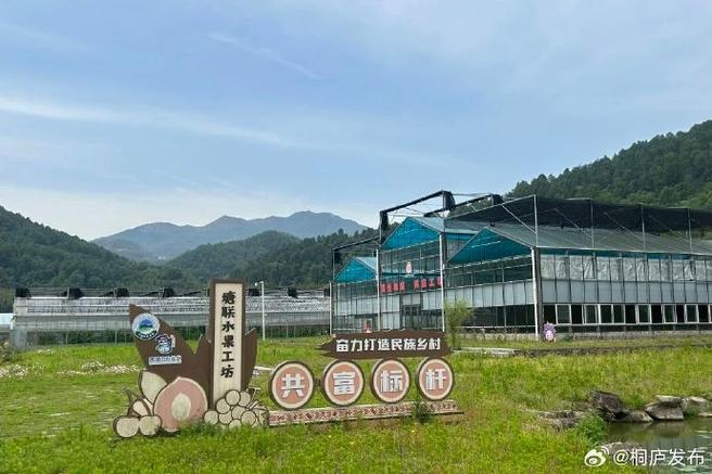 哪些网站可以免费种水果