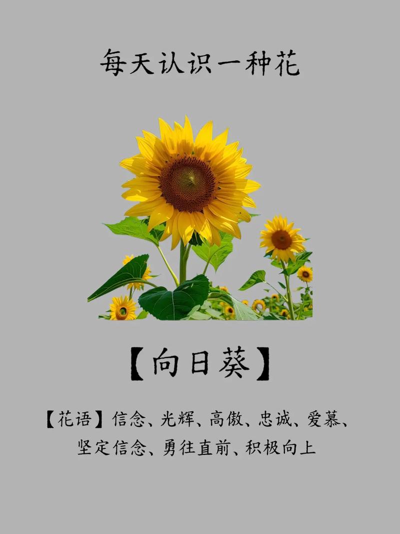 向日葵转发文章平台游戏截图