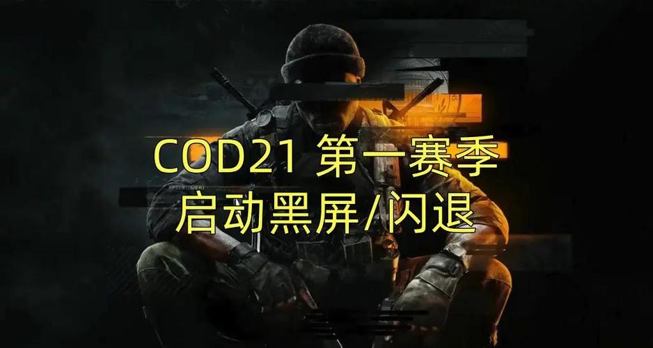 使命召唤手游打开黑屏