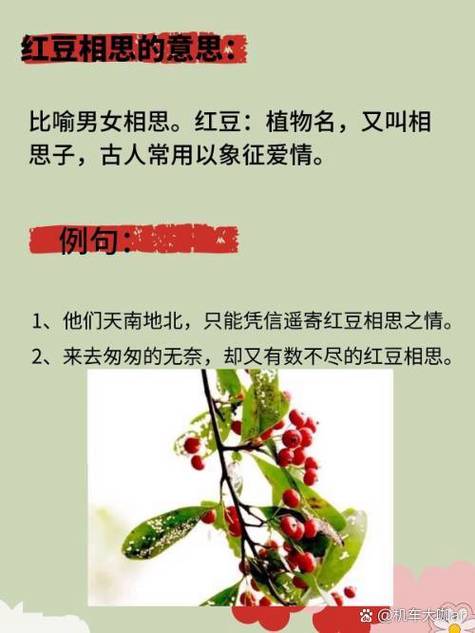 红豆的寓意