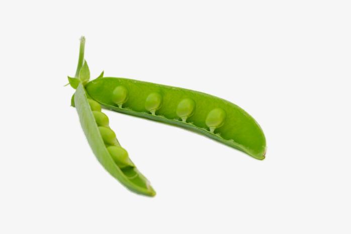 qq旧版本豌豆荚缩略图