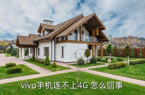 vivo4g显示4G不显示上网图标