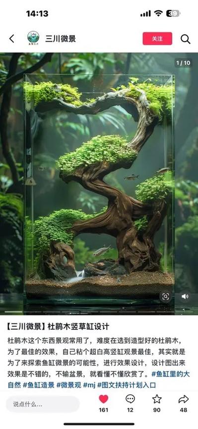 鱼缸造景沉木怎么制作缩略图
