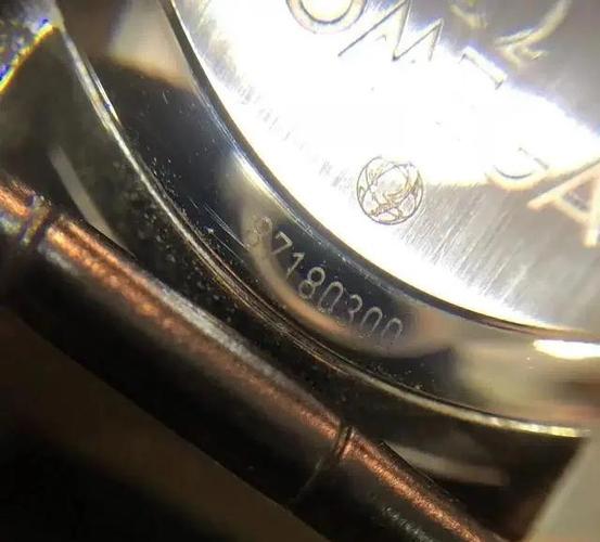 欧米茄手表后盖盖上窍门游戏截图