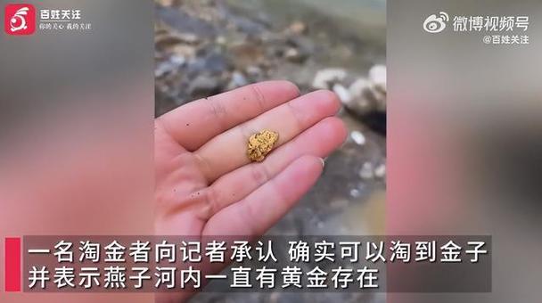 芝麻淘金合法吗缩略图