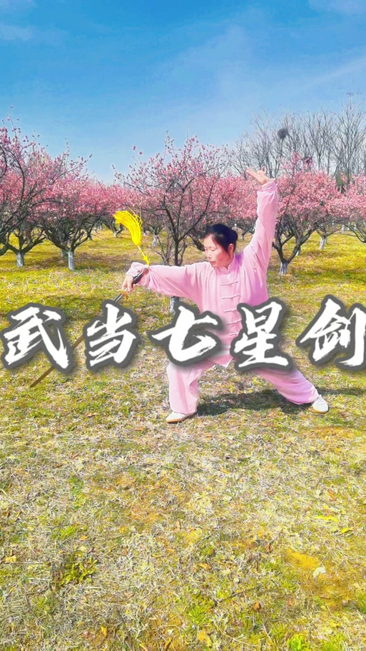 武当七星剑28式图标