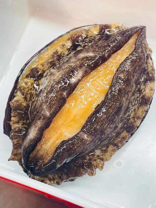 鲍鱼游戏截图
