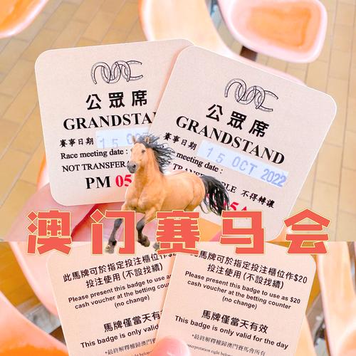 澳门洗马什么意思图标