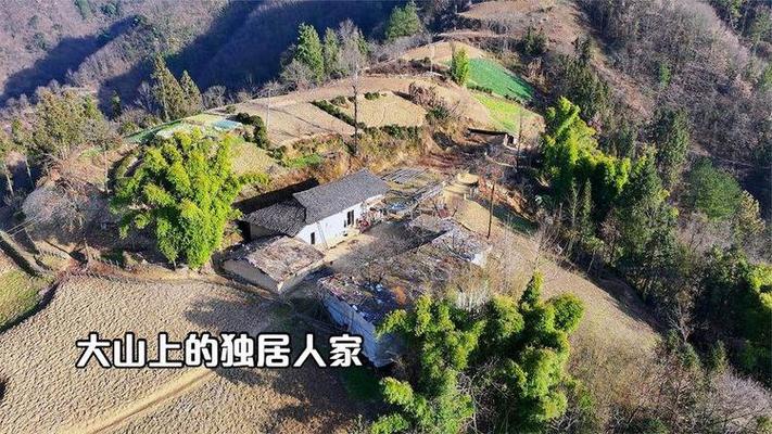 大山一家乱天福天宋
