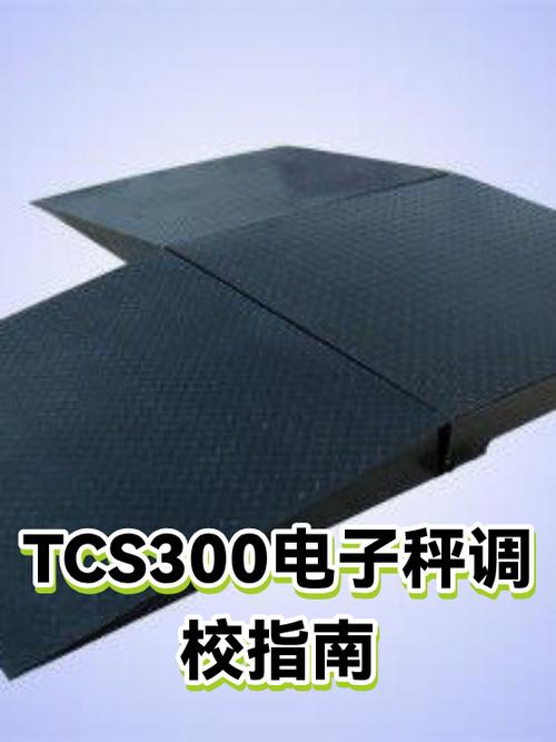 tcs-300电子秤说明书图标