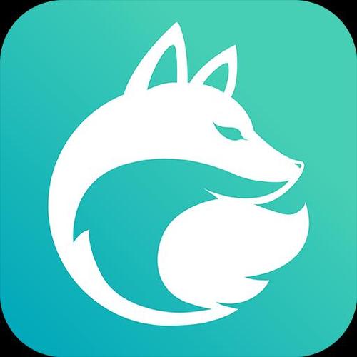白狐浏览器app下载