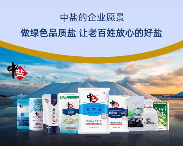 晶纯盐的害处与好处游戏截图