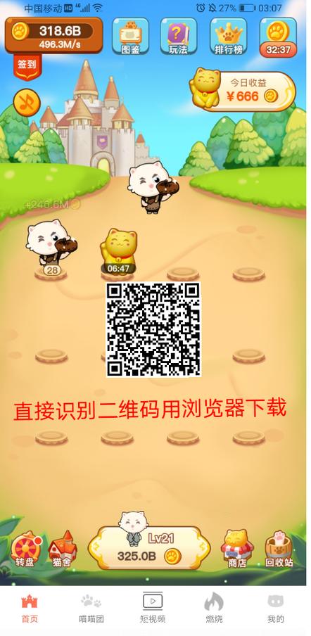 卖小猫在哪个平台