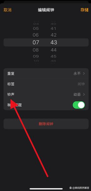 已在ipad上播放铃声是什么意思