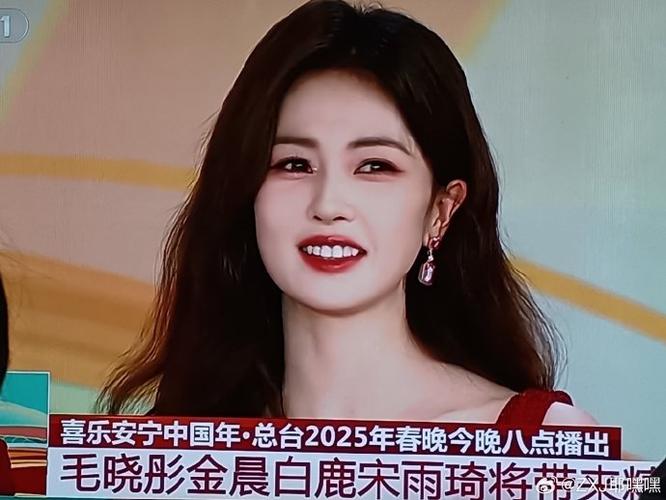 中央电视台四川总站白璐游戏截图