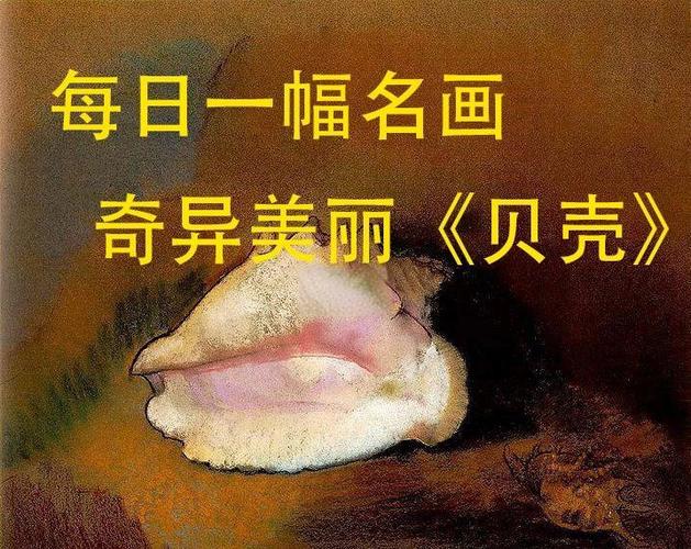 《贝壳》阅读答案缩略图