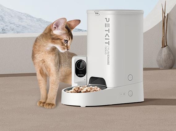 猫咪自动喂食器缩略图