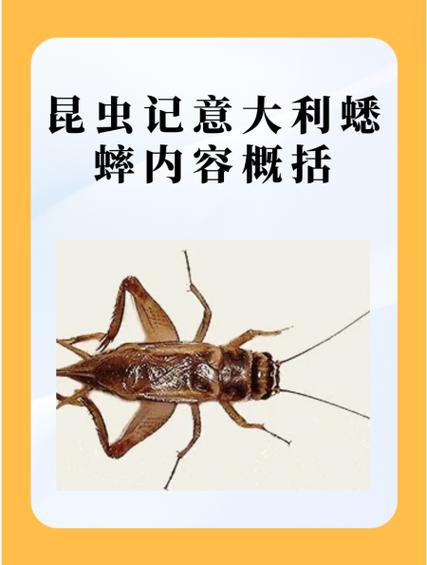 驱赶蟋蟀的方法图标
