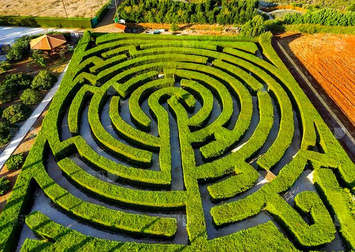 植物大战僵尸2国际版迷宫地图图标