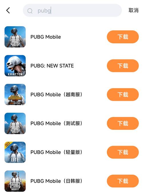 PUBG国际服怎么下载正版缩略图