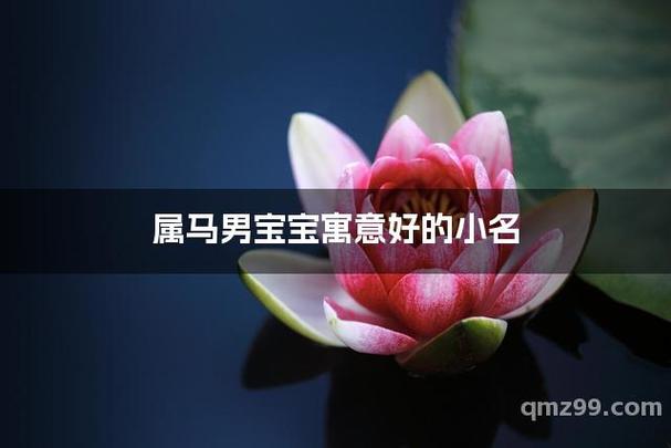 属马男孩最吉利的小名