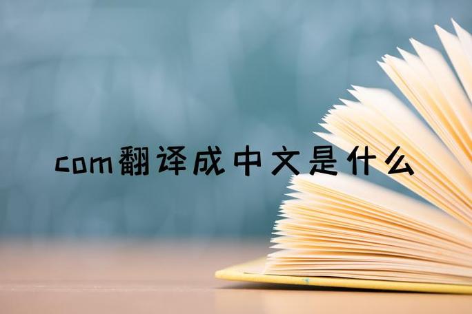 fans是什么翻译中文图标