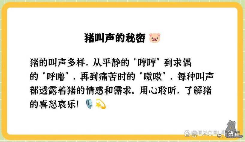 猪的叫声用什么字形容缩略图