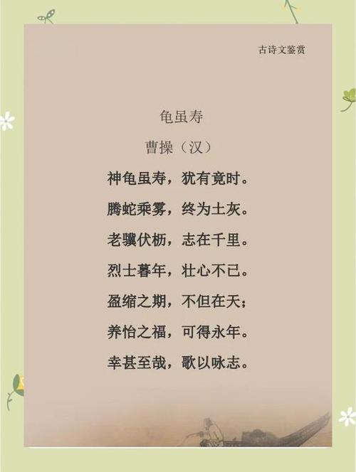 龟的吉祥词语缩略图