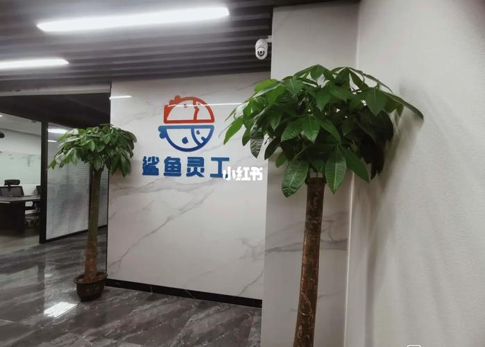 鲨鱼灵工官方邀请码首码游戏截图