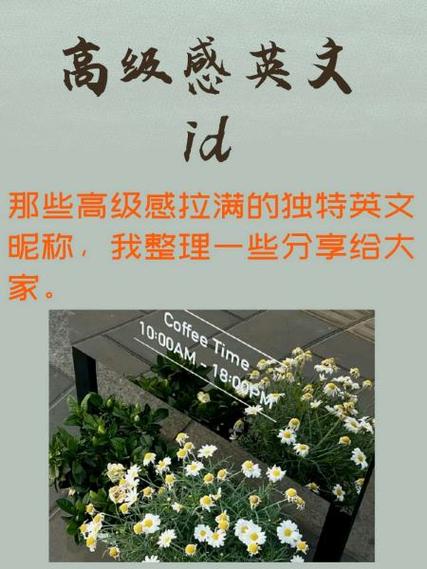 coisini另一半网名爱尔兰语图标