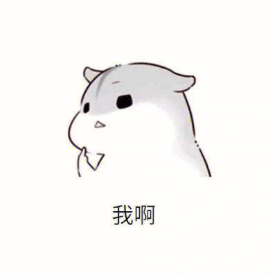 小仓鼠表情包无字原图缩略图