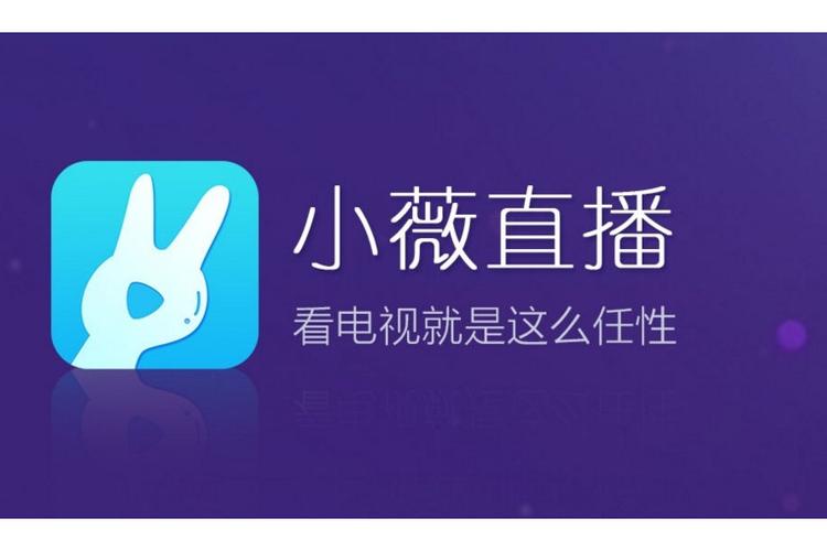 小薇直播电视版下载